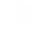 Armadillo